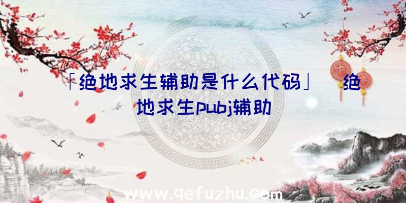 「绝地求生辅助是什么代码」|绝地求生pubj辅助